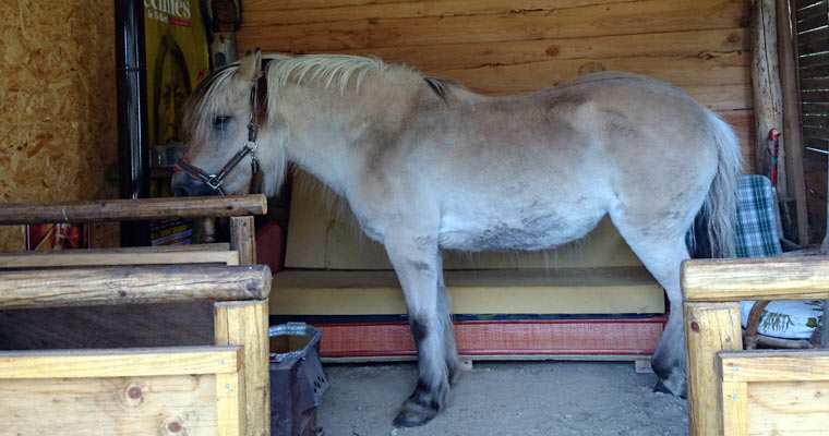 La vall&eacute;e de la Clar&eacute;e 