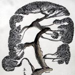 Les Bonsai