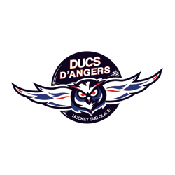 Les Ducs d' Angers