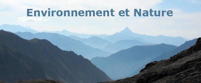 nature, environnement, flore des alpes, géologie du Briançonnais