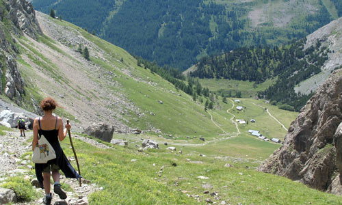 l'Alp du Lauzet