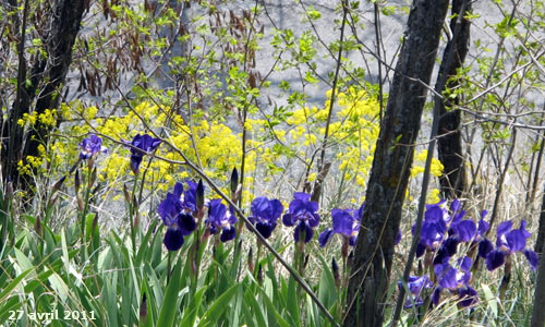 Le printemps dans la cité Vauban de Briançon.