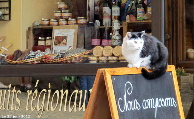 Un chat dans la cité Vauban de Briançon.