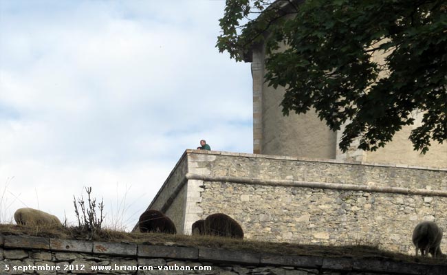 Sur les remparts de la Cité Vauban à Briançon.
