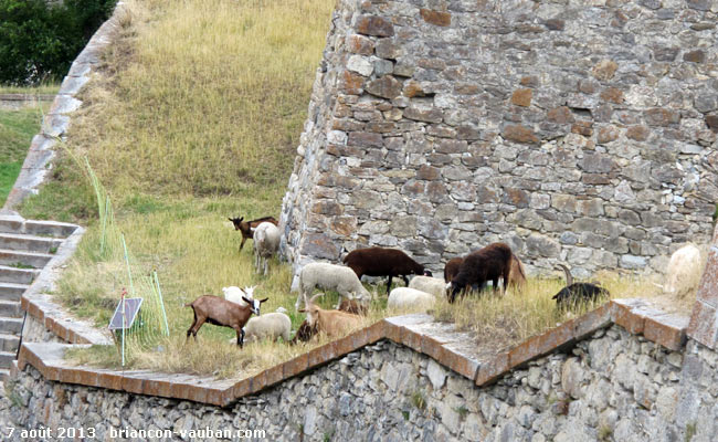 Sur les remparts de la cité Vauban à briançon.