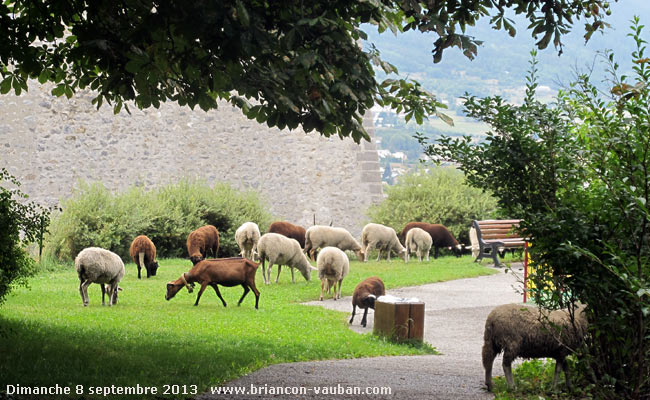le jardin Chanoine Motte à briançon.