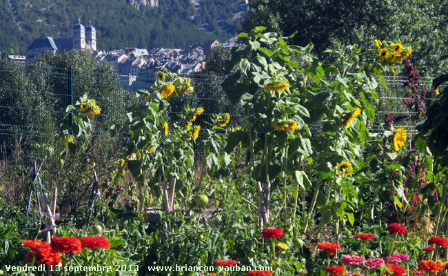 La cité Vauban vue des Jardins Familiaux de Briançon.