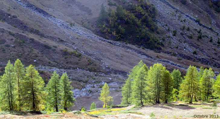 Dans le vallon du Bouchet