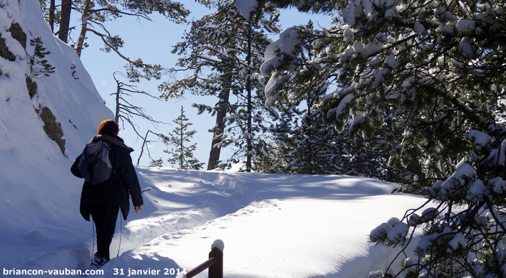 Du côté du bois de la Pinée à Briançon.