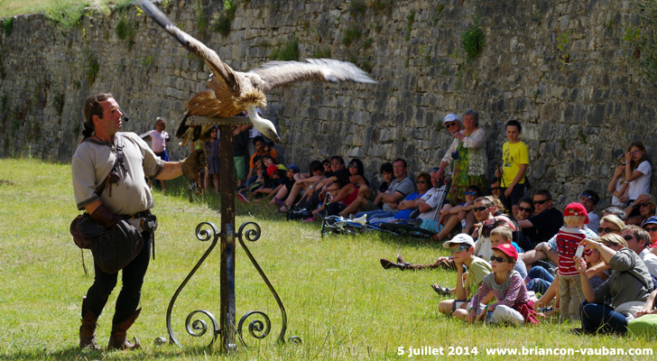 Spectacle de fauconnerie dans les fossés de la cité Vauban de Briançon.