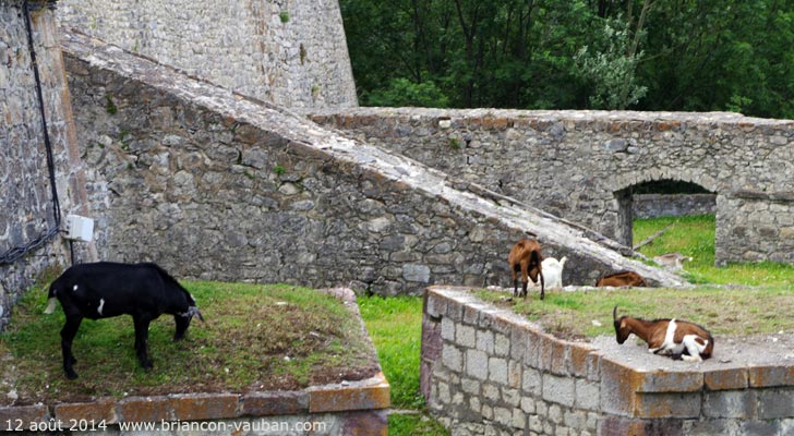 Les remparts de la cité Vauban de Briançon.
