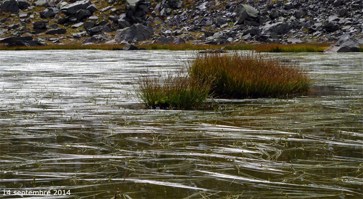 Un petit lac