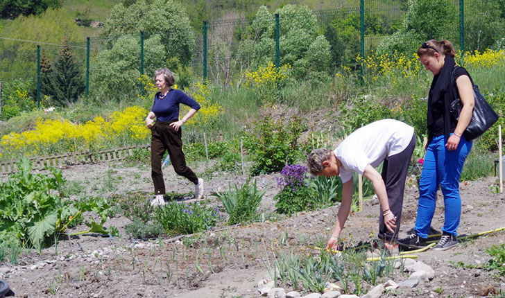 Dans le jardin de Briançon