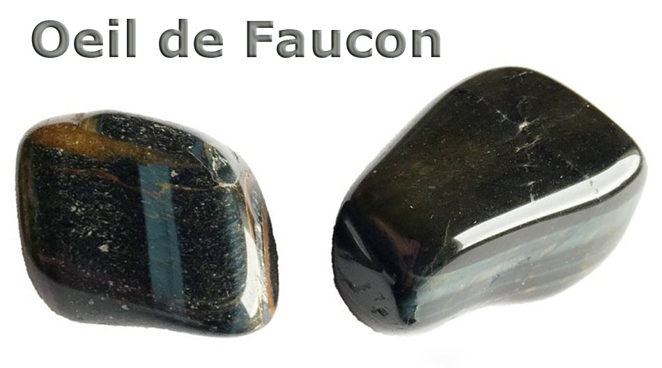 Oeil de Faucon