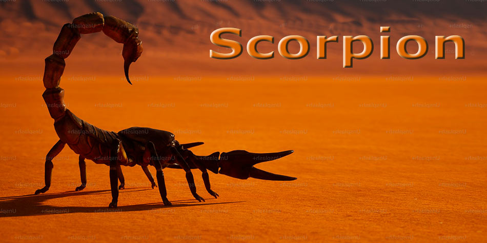 Scorpion