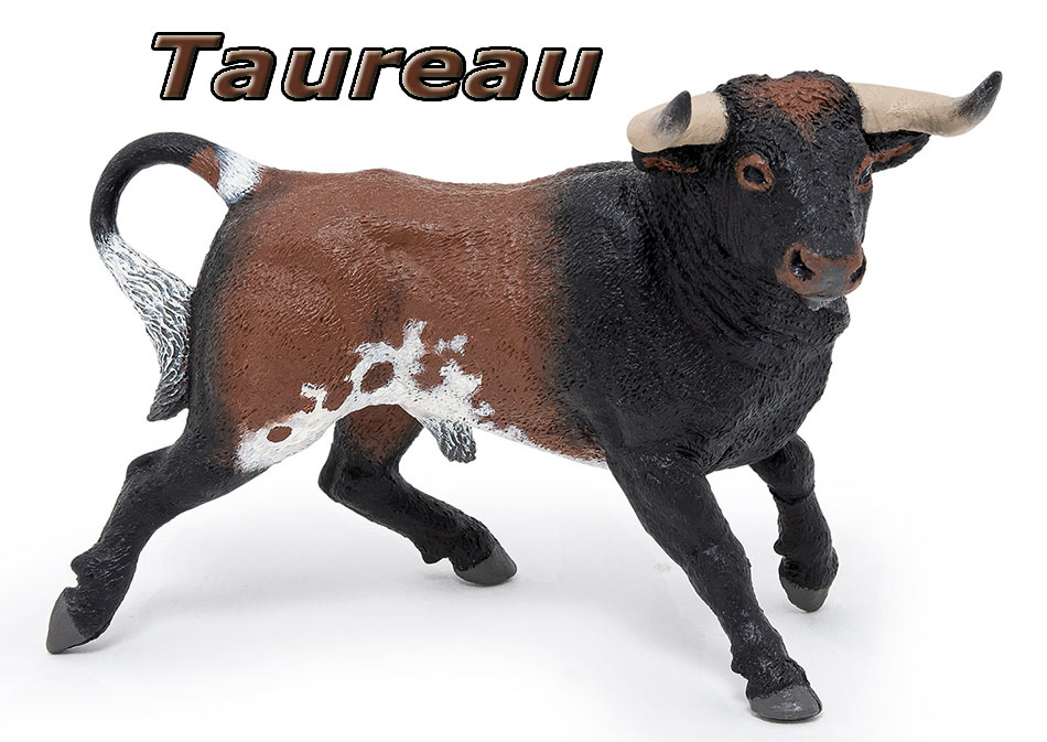 Signe du taureau