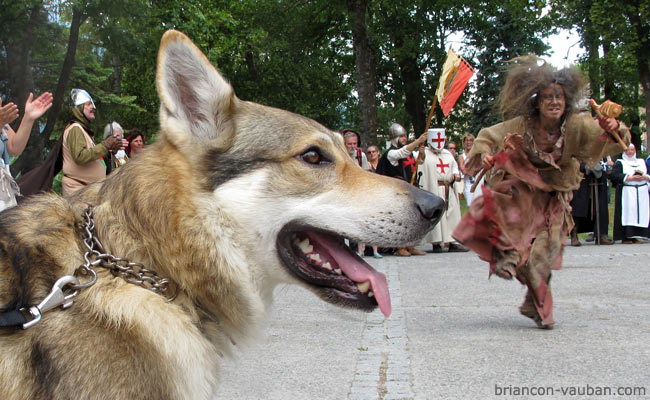 Le loup de la fête médiévale de Briançon. 