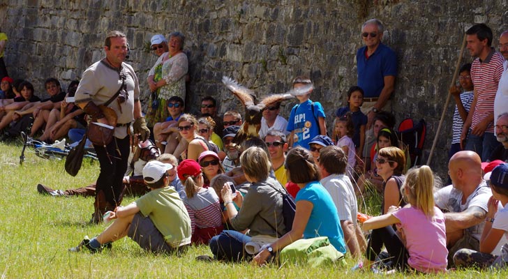 Valéry Marche et ses rapaces