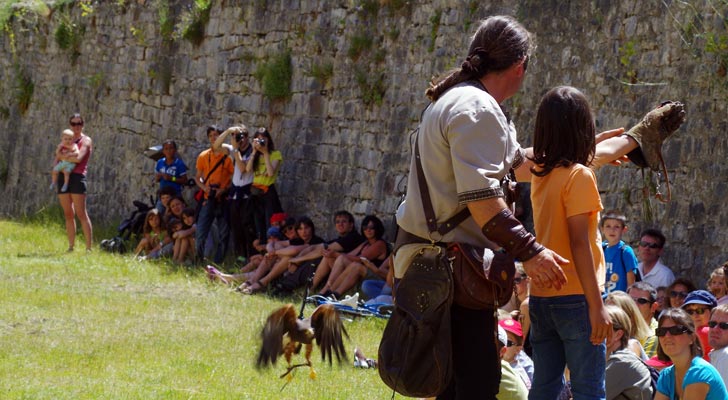 Valéry Marche et ses rapaces
