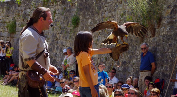 Valéry Marche et ses rapaces