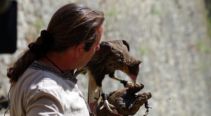 Valéry Marche et ses rapaces