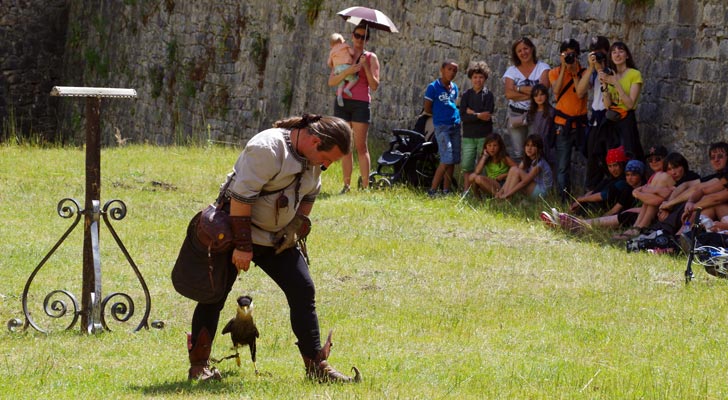 Valéry Marche et ses rapaces