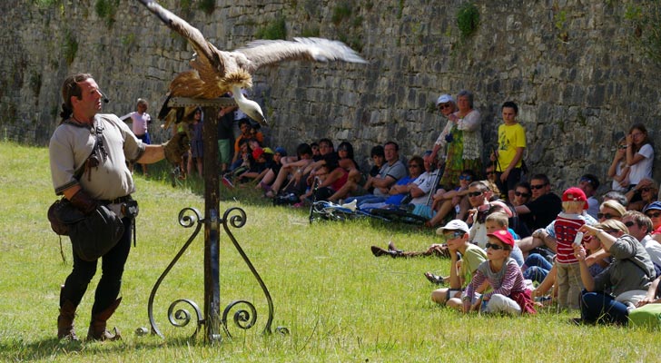 Valéry Marche et ses rapaces