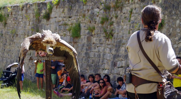 Valéry Marche et ses rapaces