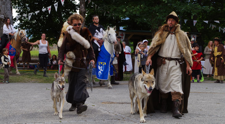 Les Loups dans le jardin Chanoine Motte