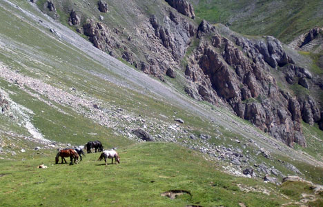 L'Alp du Lauzet dans le Briançonnais