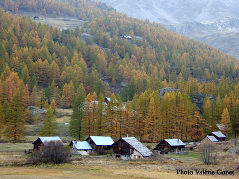 La vallée de la Clarée