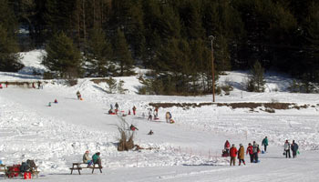 La luge dans la vallée de la Clarée