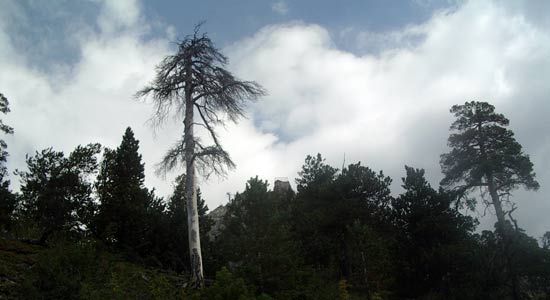 La Croix de Toulouse